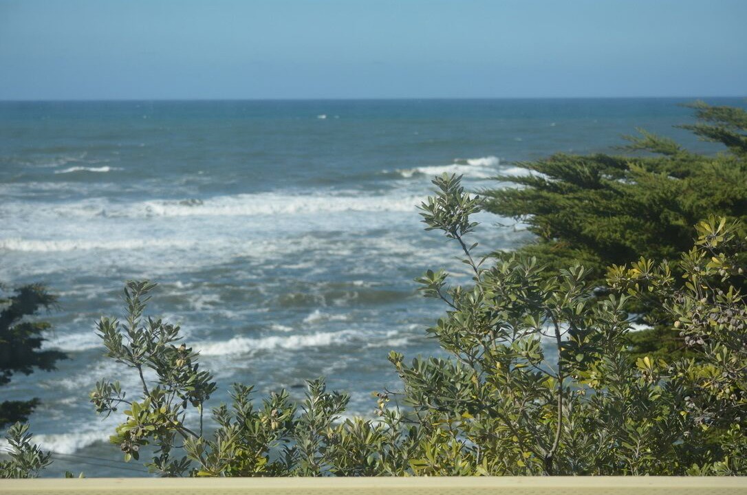 Photo of Others in Moss Beach