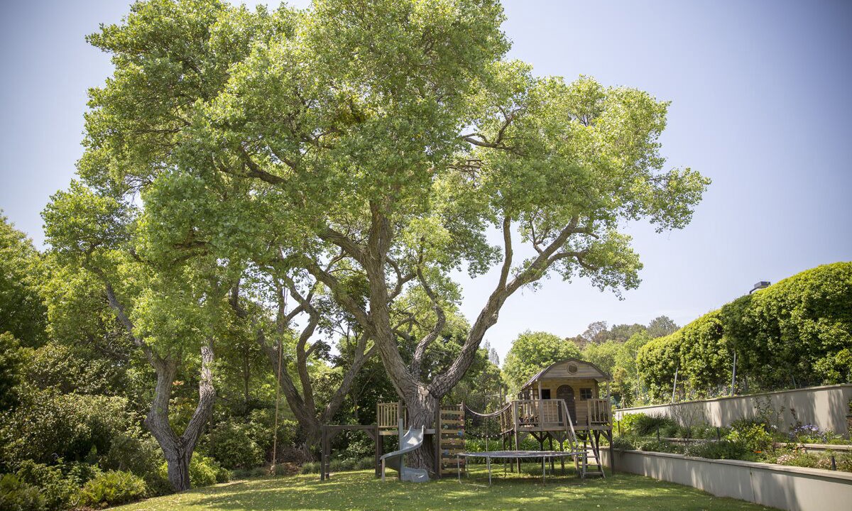 Photo of Outdoor in Bishopscourt