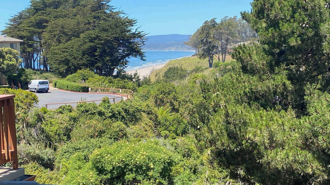 Photo of Others in Rio del Mar