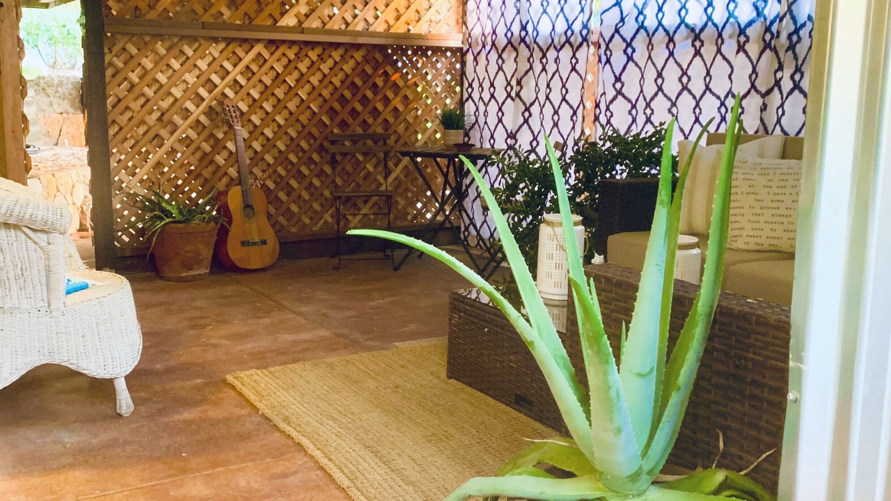 Photo of Outdoor in Napa
