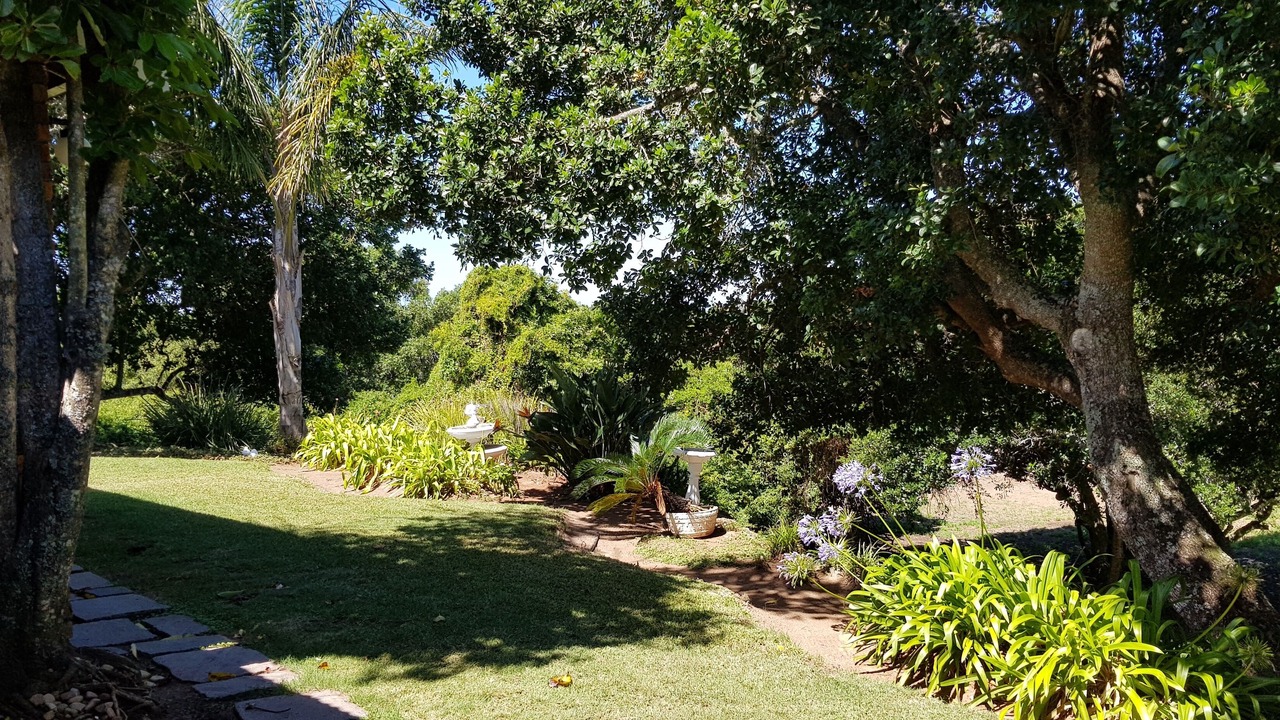 Photo of Outdoor in Port Elizabeth
