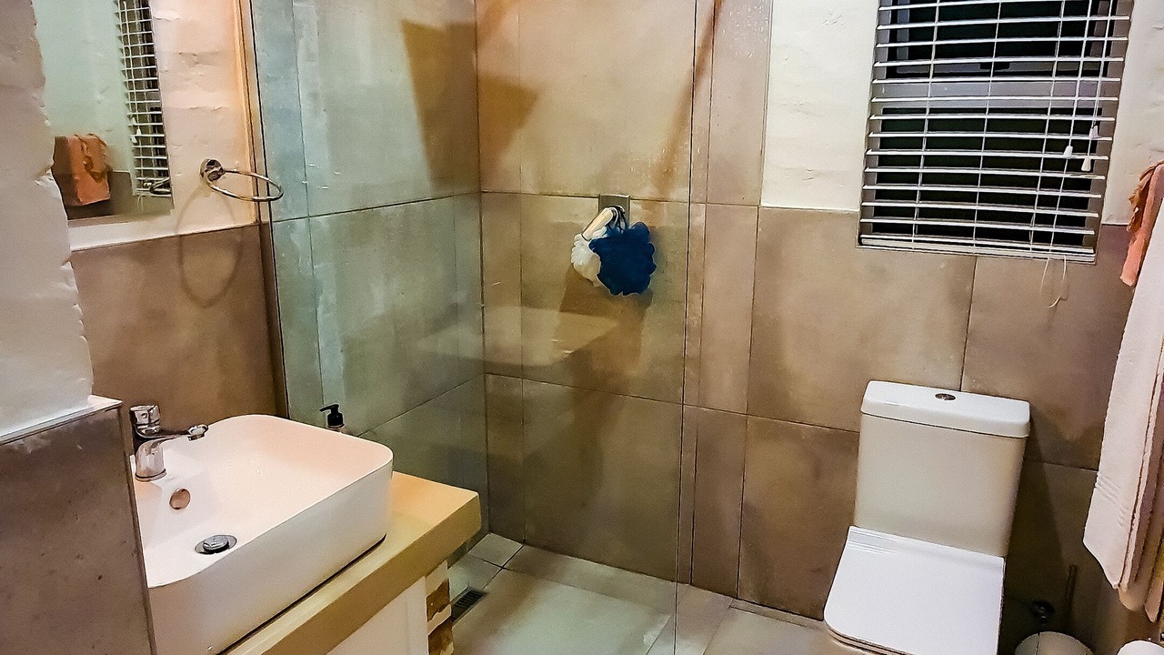 Photo of Bathroom in Parys
