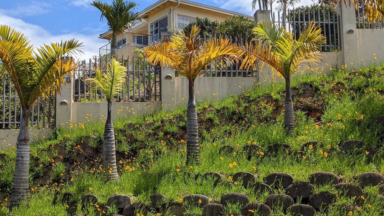 Photo of Outdoor in Port Edward