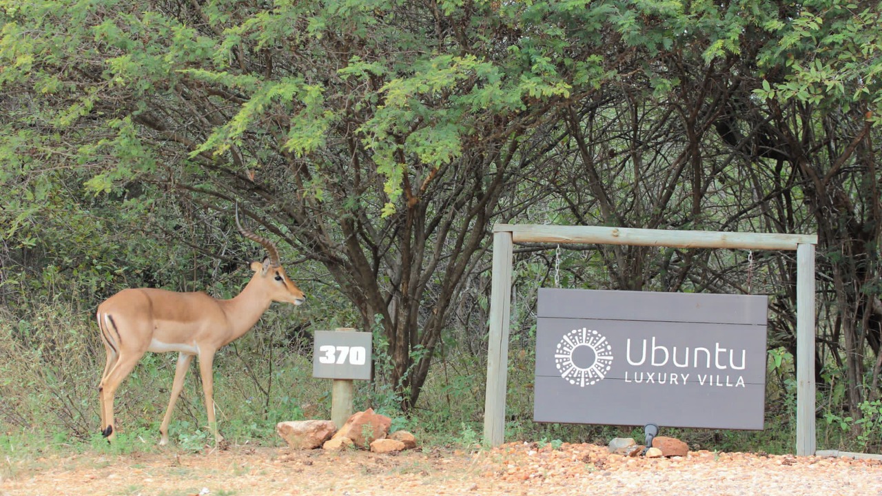 Photo of Others in Hoedspruit