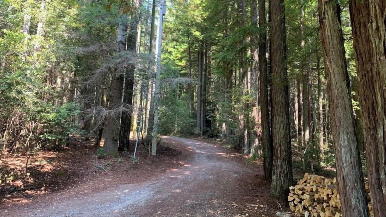 Photo of Outdoor in Albion