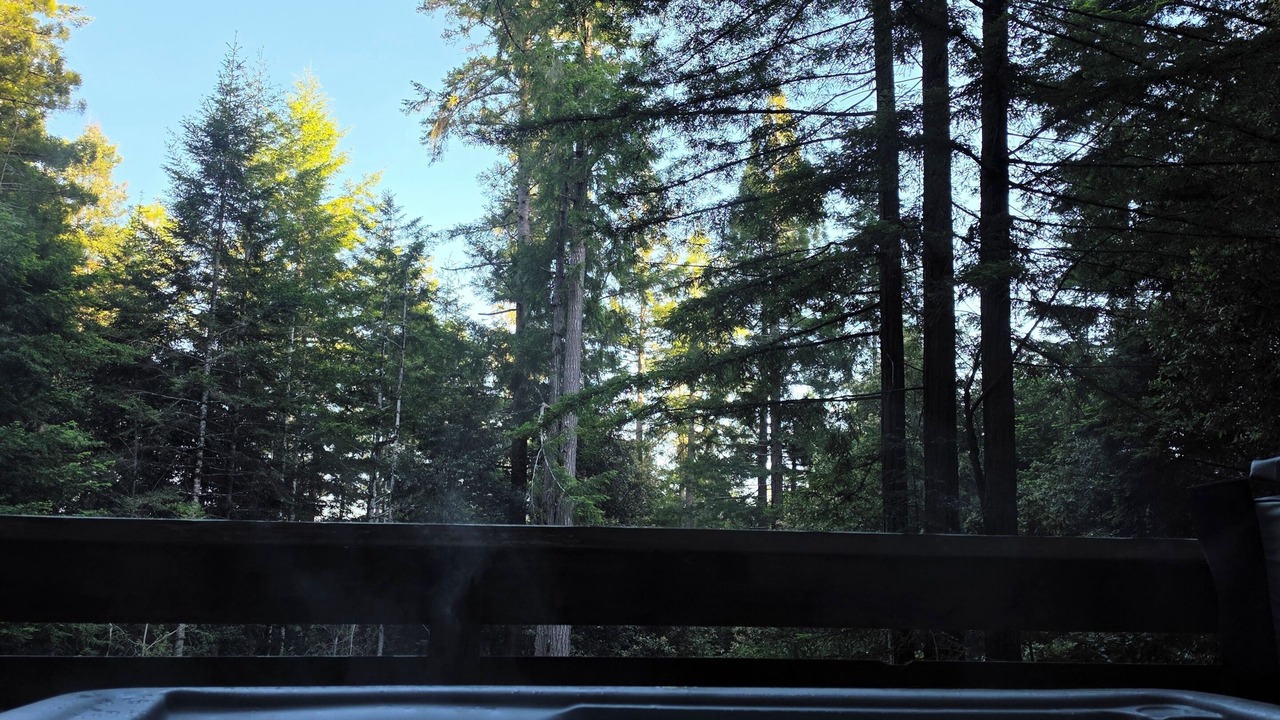 Photo of Outdoor in Albion