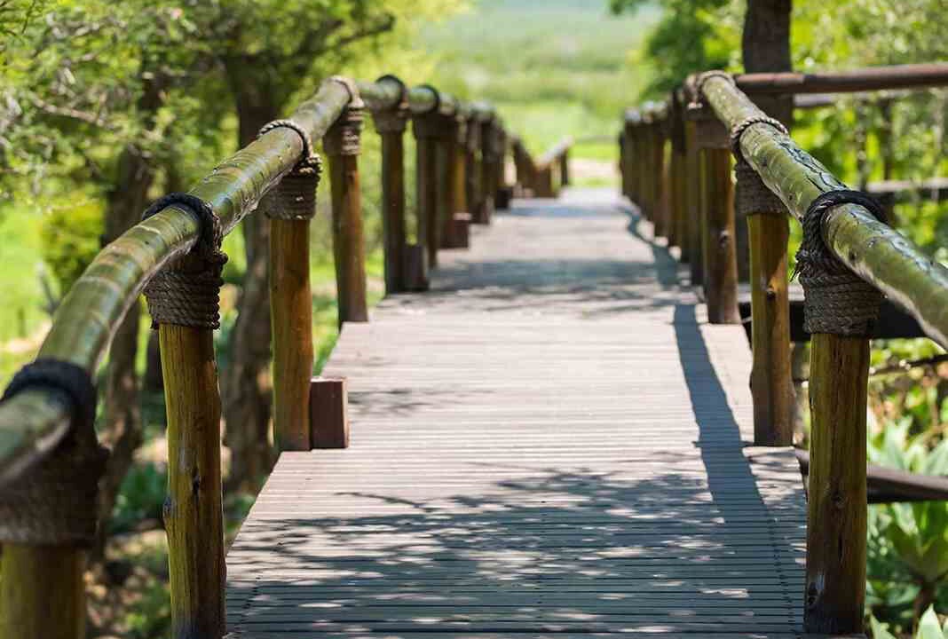 Photo of Outdoor in Madikwe Game Reserve