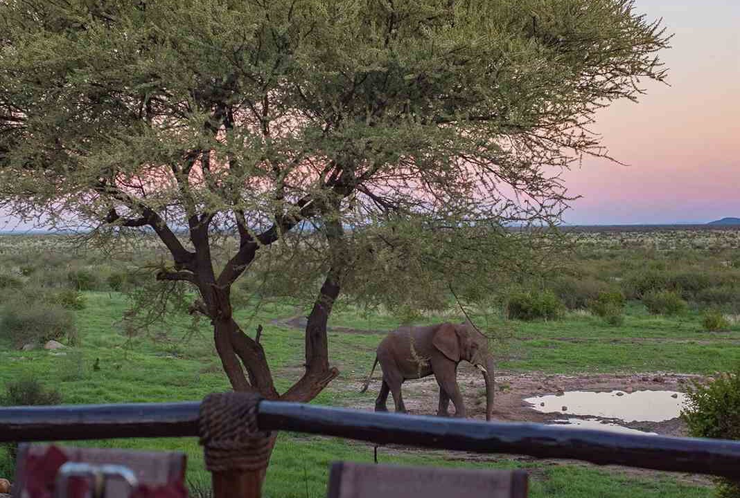 Photo of Outdoor in Madikwe Game Reserve