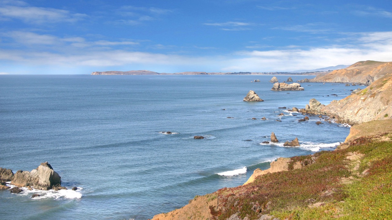 Photo of Others in Dillon Beach