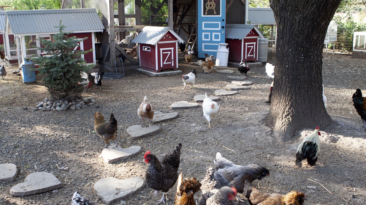 Photo of Outdoor in Sonoma