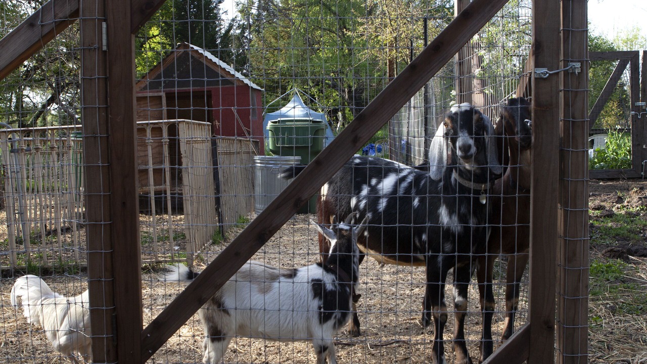 Photo of Outdoor in Sonoma