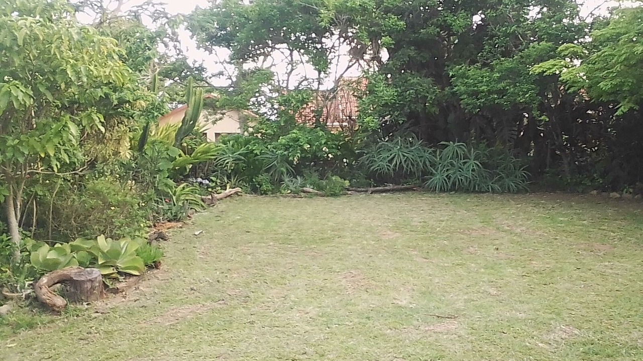 Photo of Outdoor in Elysium