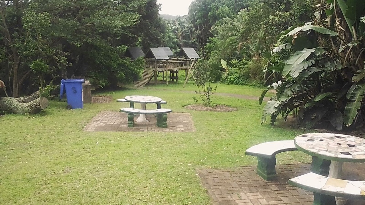 Photo of Others in Elysium