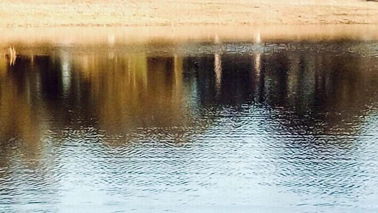 Photo of Outdoor in Stanford