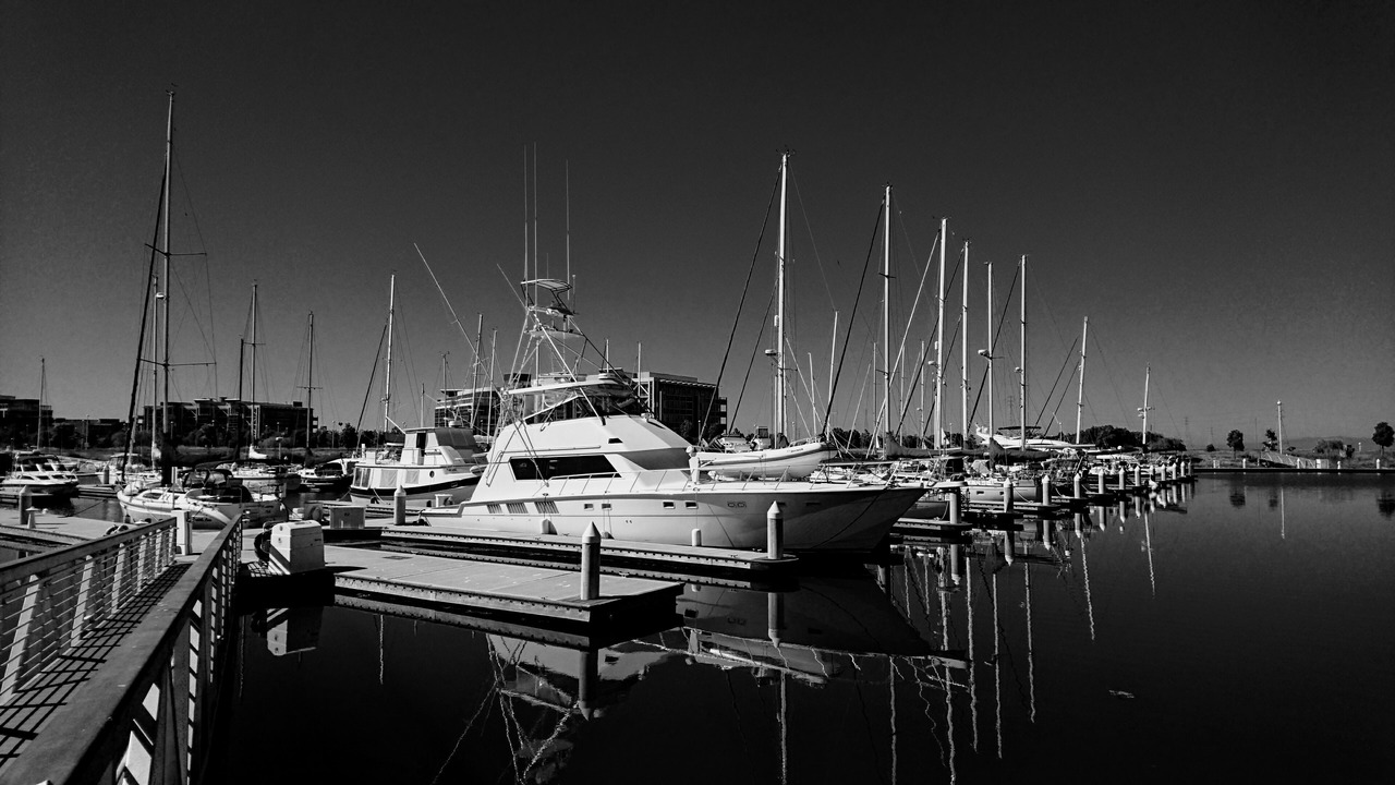 Photo of Others in West Alameda