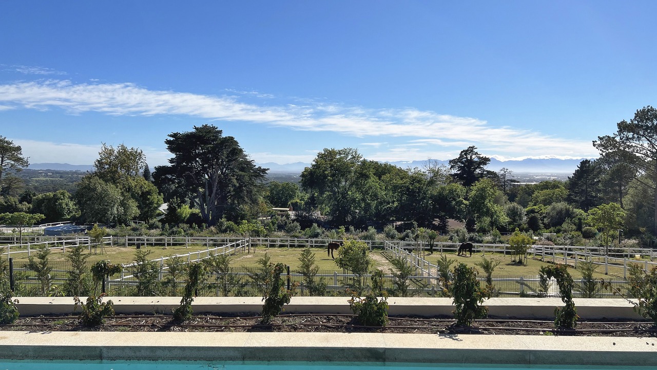 Photo of Outdoor in Steenberg Estate