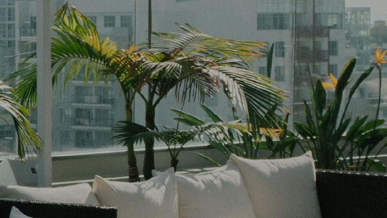 Photo of Outdoor in South Beach