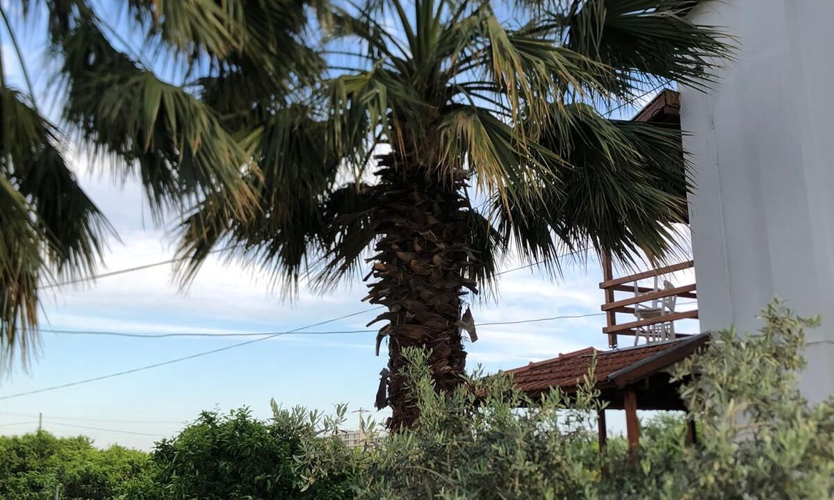 Photo of Outdoor in Ozdere