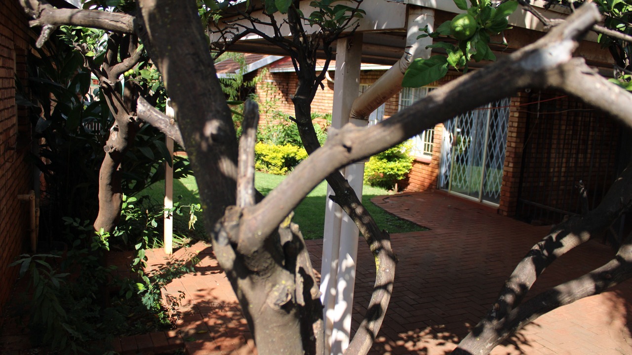 Photo of Outdoor in Akasia