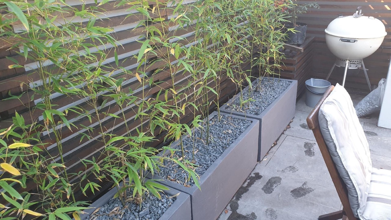Photo of Patio Balcony in Plumstead