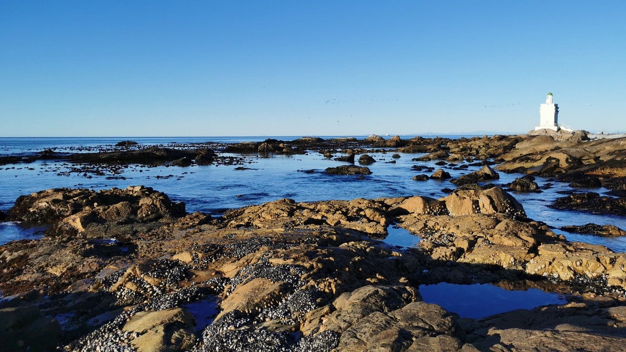 Photo of Others in Shelley Point