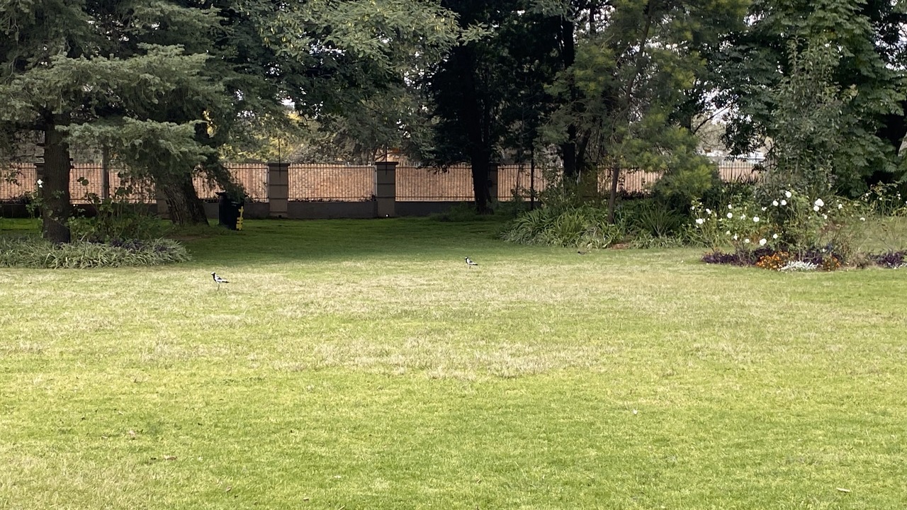 Photo of Outdoor in Benoni