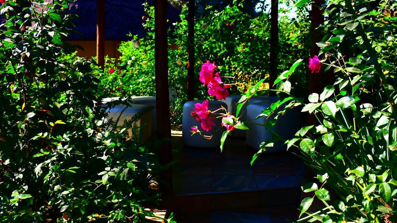 Photo of Patio Balcony in Benoni