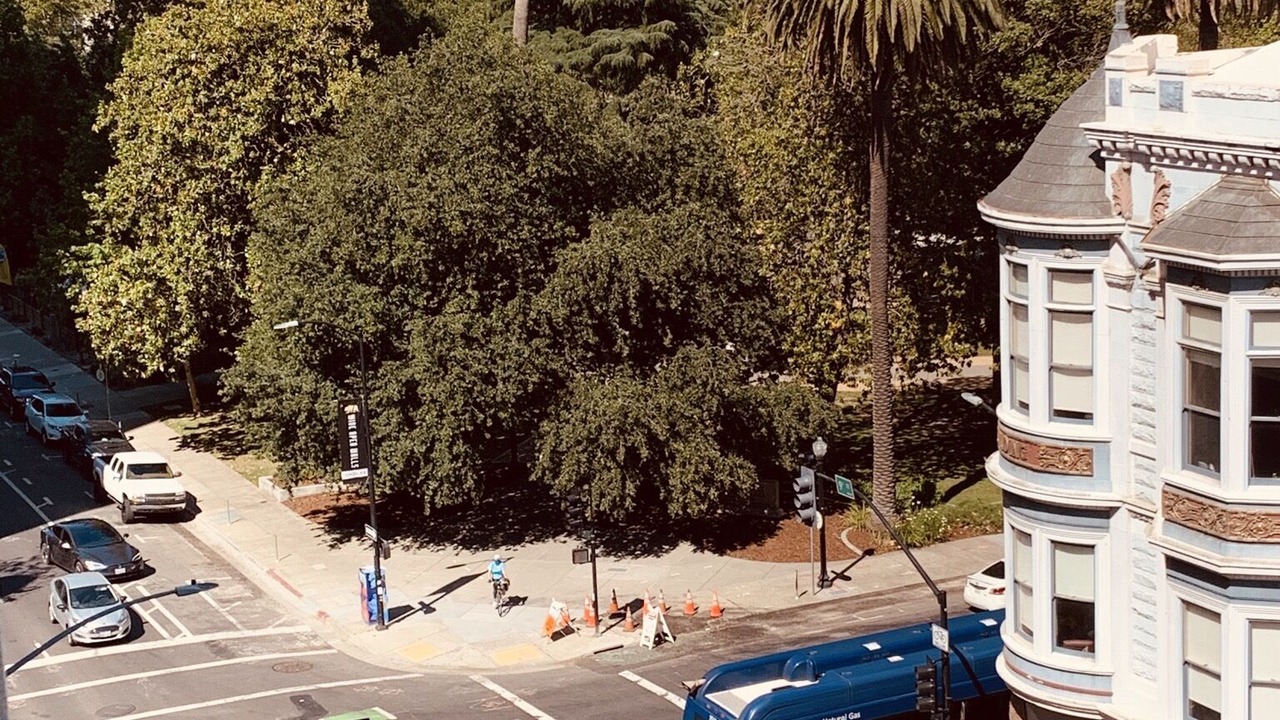 Photo of Others in Downtown Sacramento