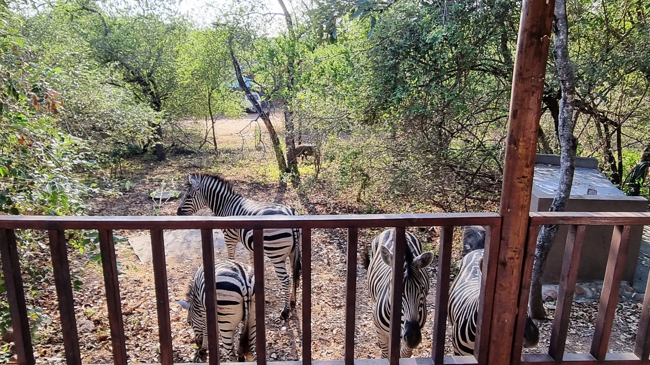 Photo of Outdoor in Marloth Park
