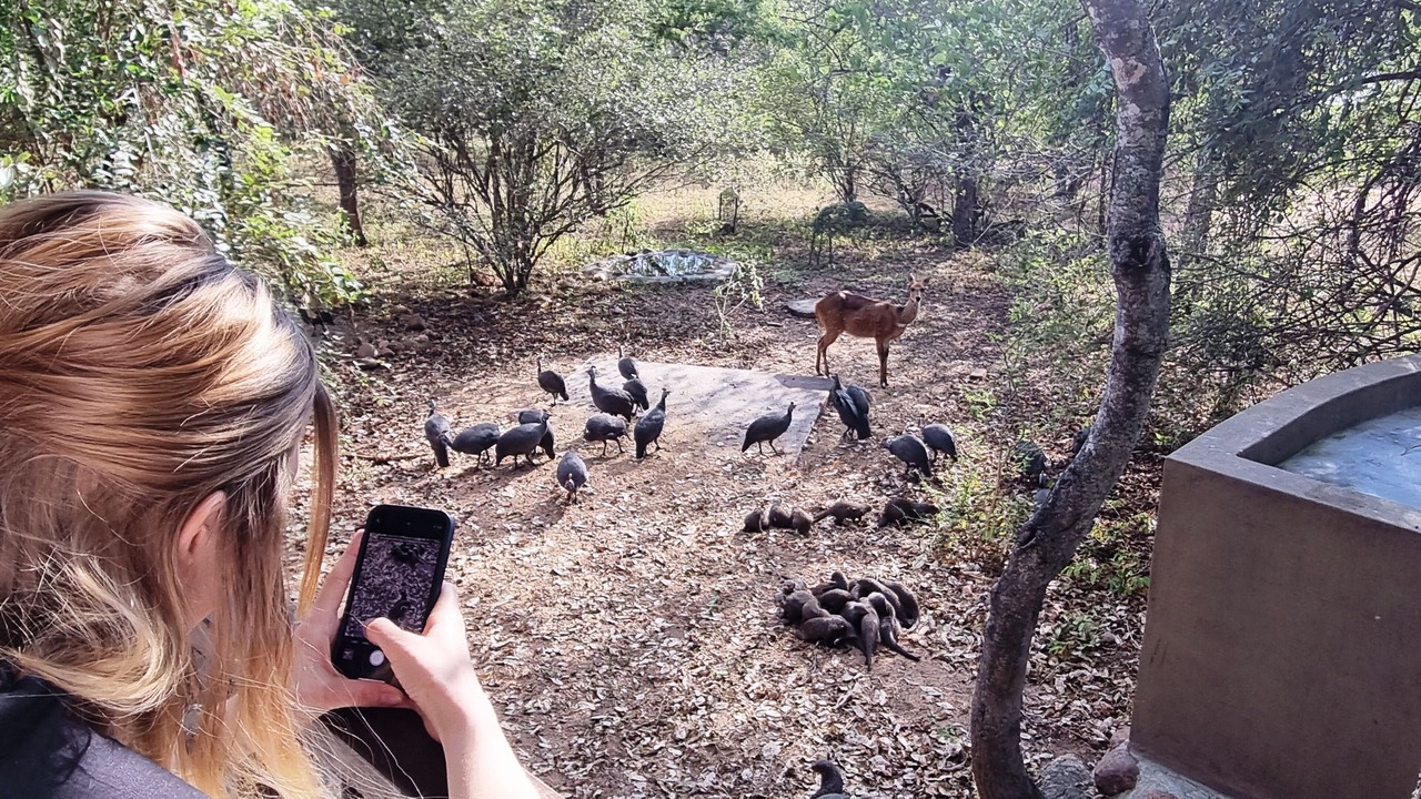Photo of Outdoor in Marloth Park