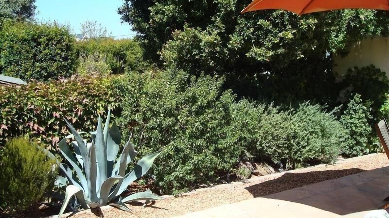 Photo of Outdoor in Constantia