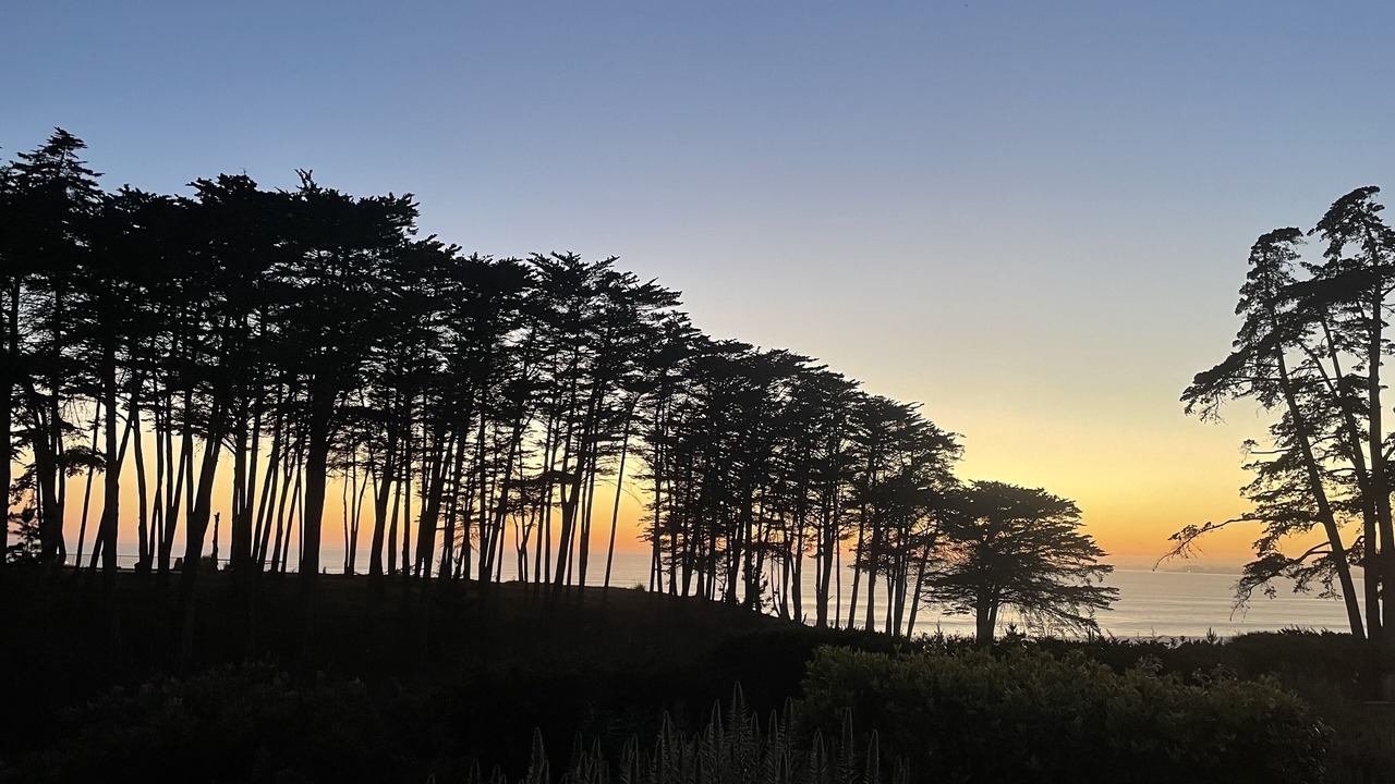 Photo of Others in Rio del Mar