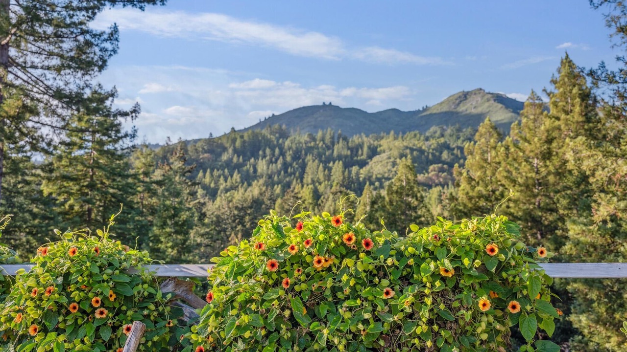 Photo of Outdoor in Mill Valley