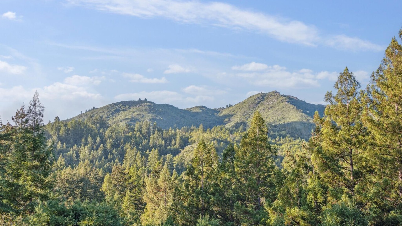 Photo of Others in Mill Valley
