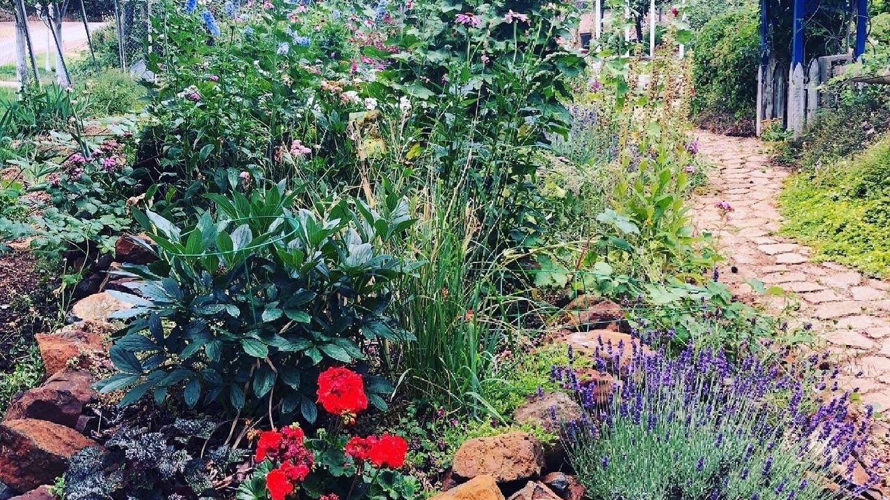 Photo of Outdoor in Cedar Ridge