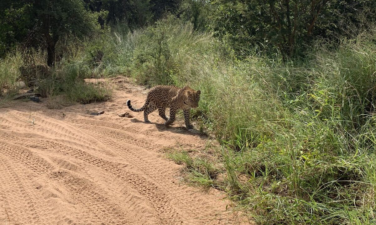 Photo of Others in Hoedspruit