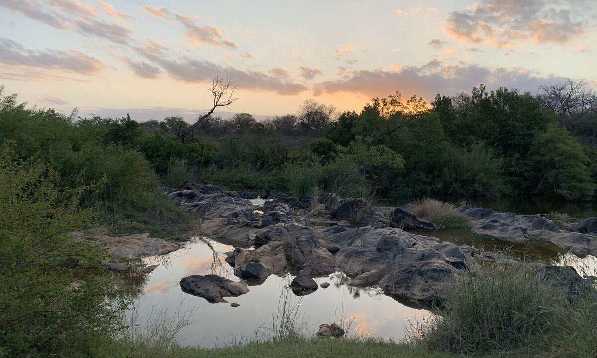 Photo of Others in Hoedspruit