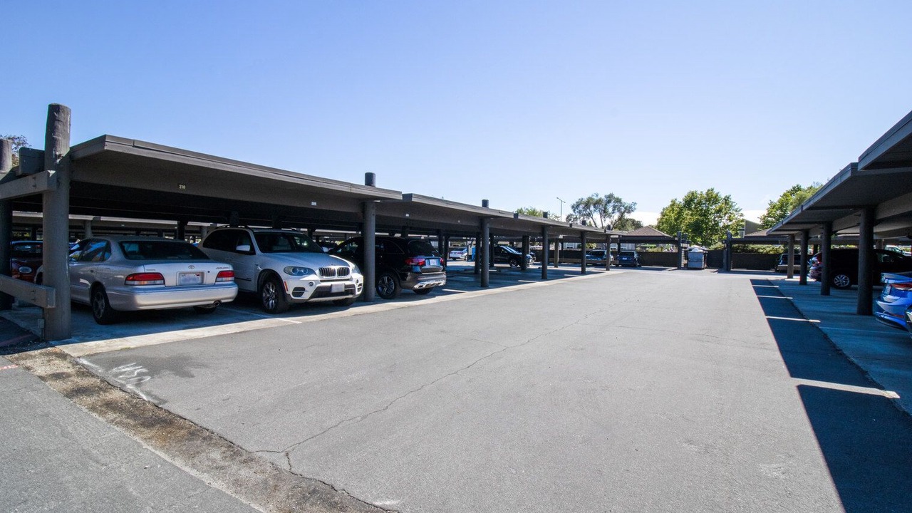Photo of Outdoor in Foster City