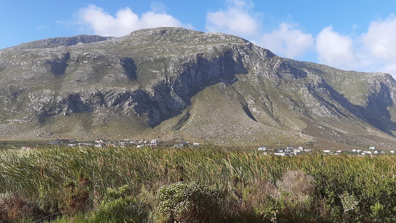 Photo of Others in Betty's Bay
