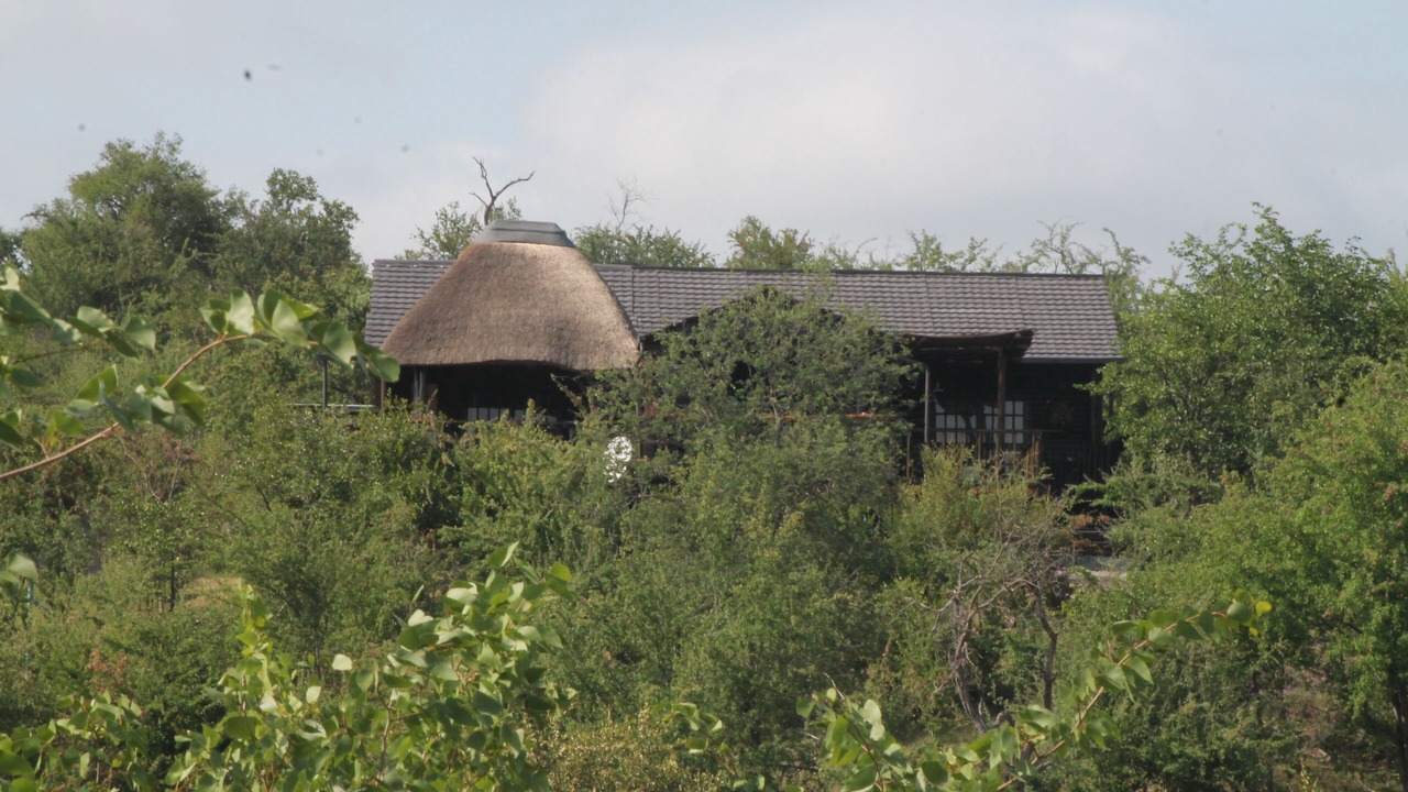 Photo of Others in Phalaborwa