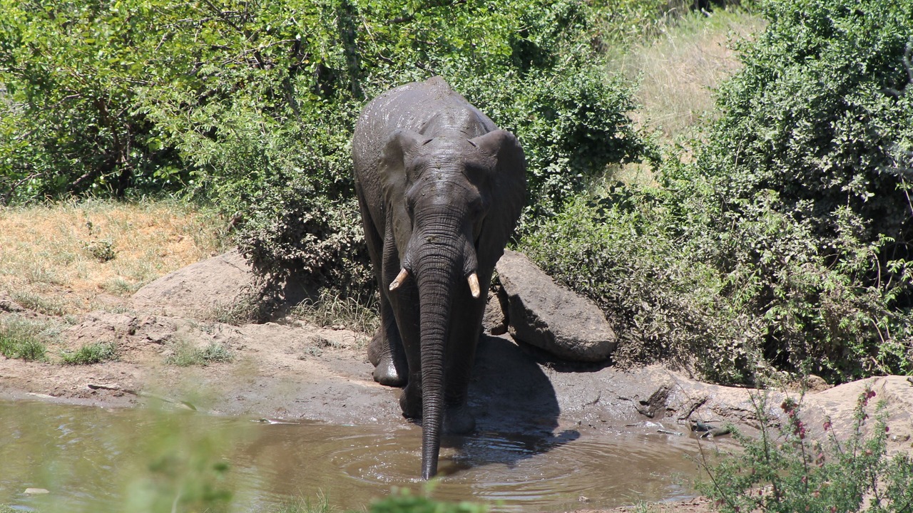 Photo of Outdoor in Phalaborwa
