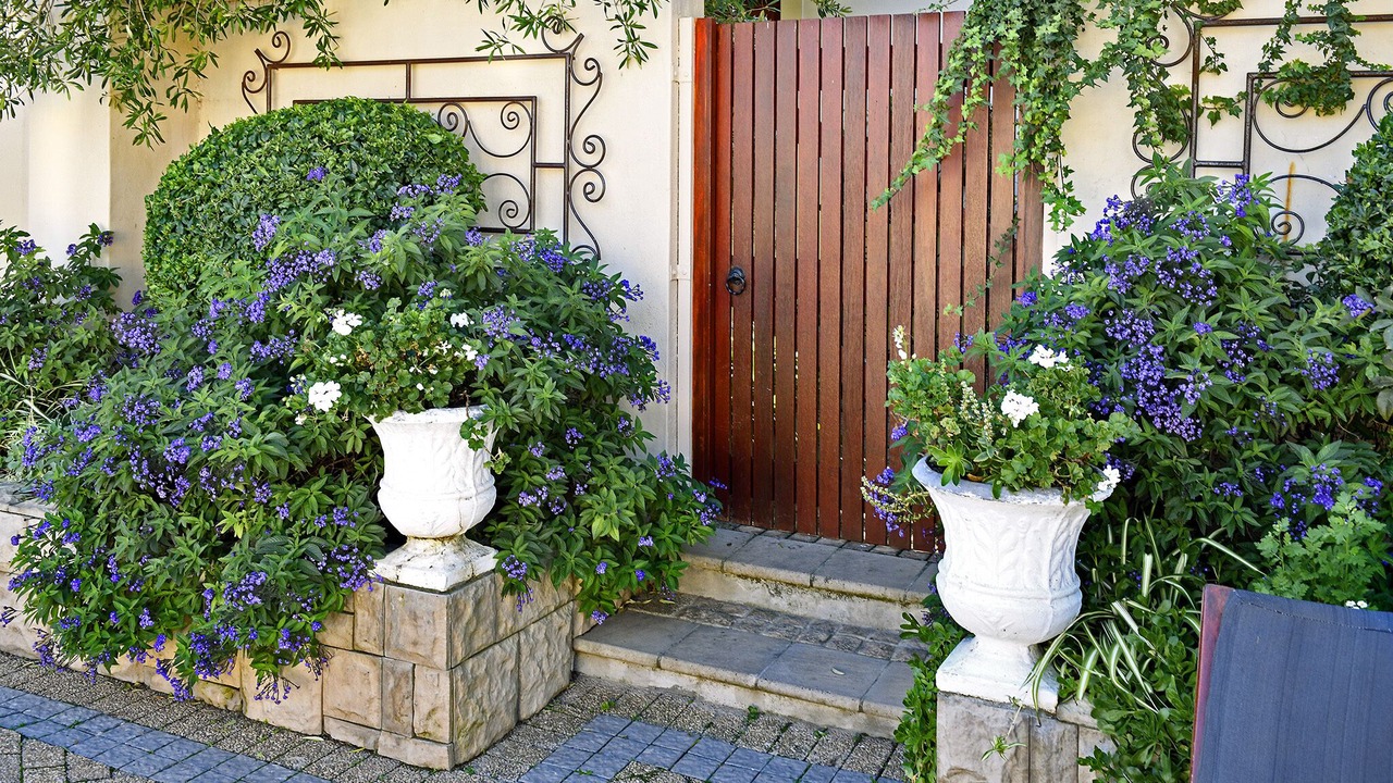 Photo of Outdoor in Franschhoek