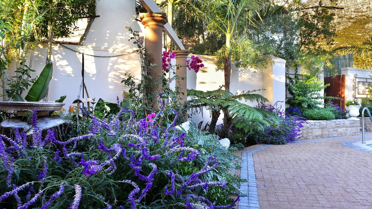 Photo of Outdoor in Franschhoek