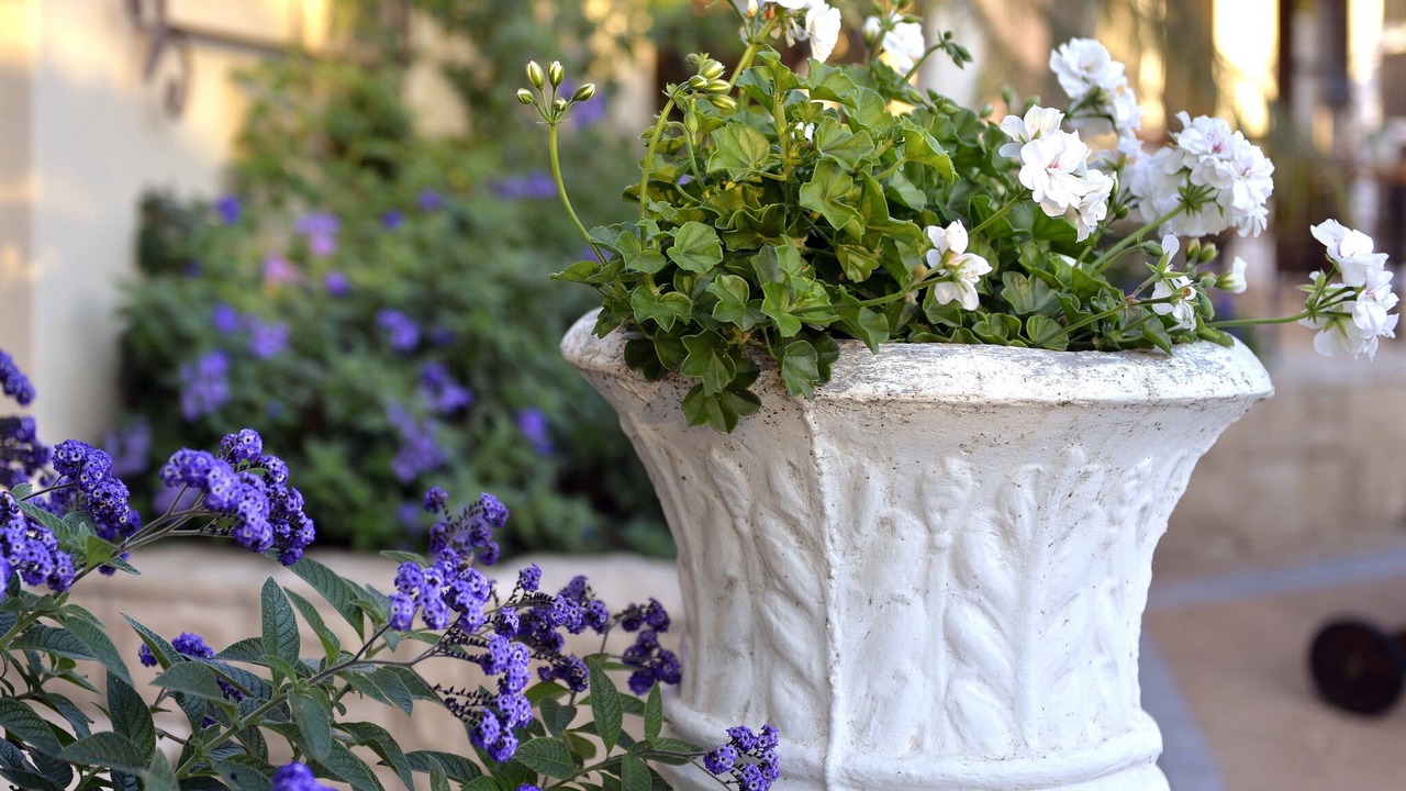 Photo of Outdoor in Franschhoek