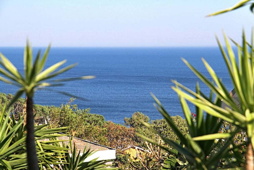 Photo of Others in Camps Bay