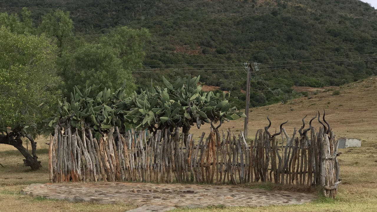 Photo of Outdoor in Addo