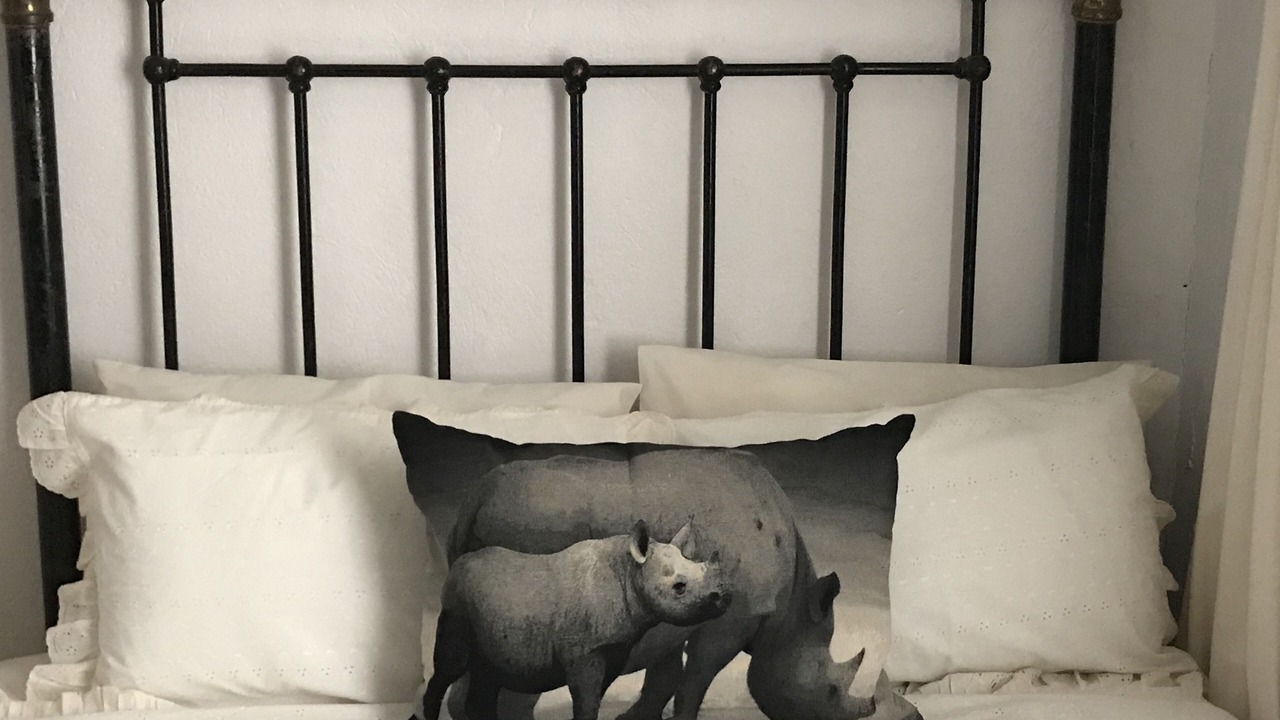 Photo of Bedroom in Addo