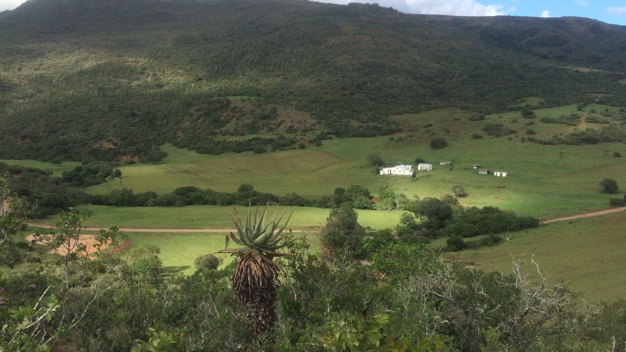 Photo of Others in Addo