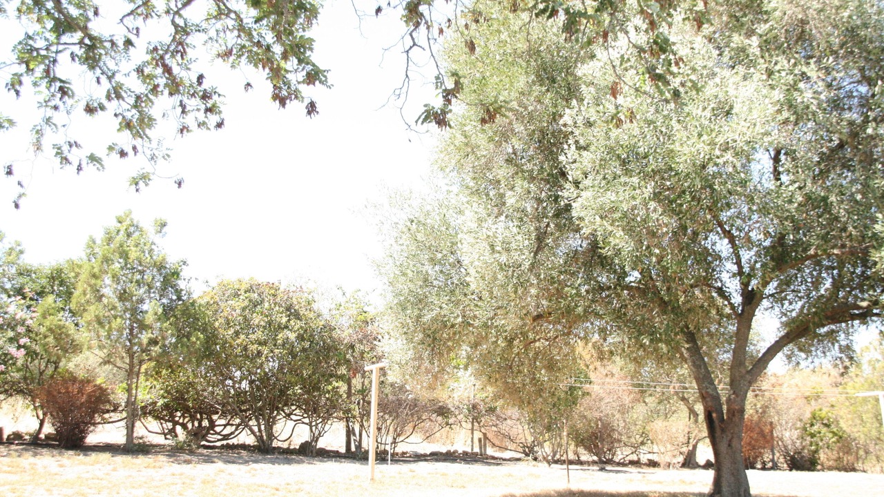 Photo of Outdoor in Paarl