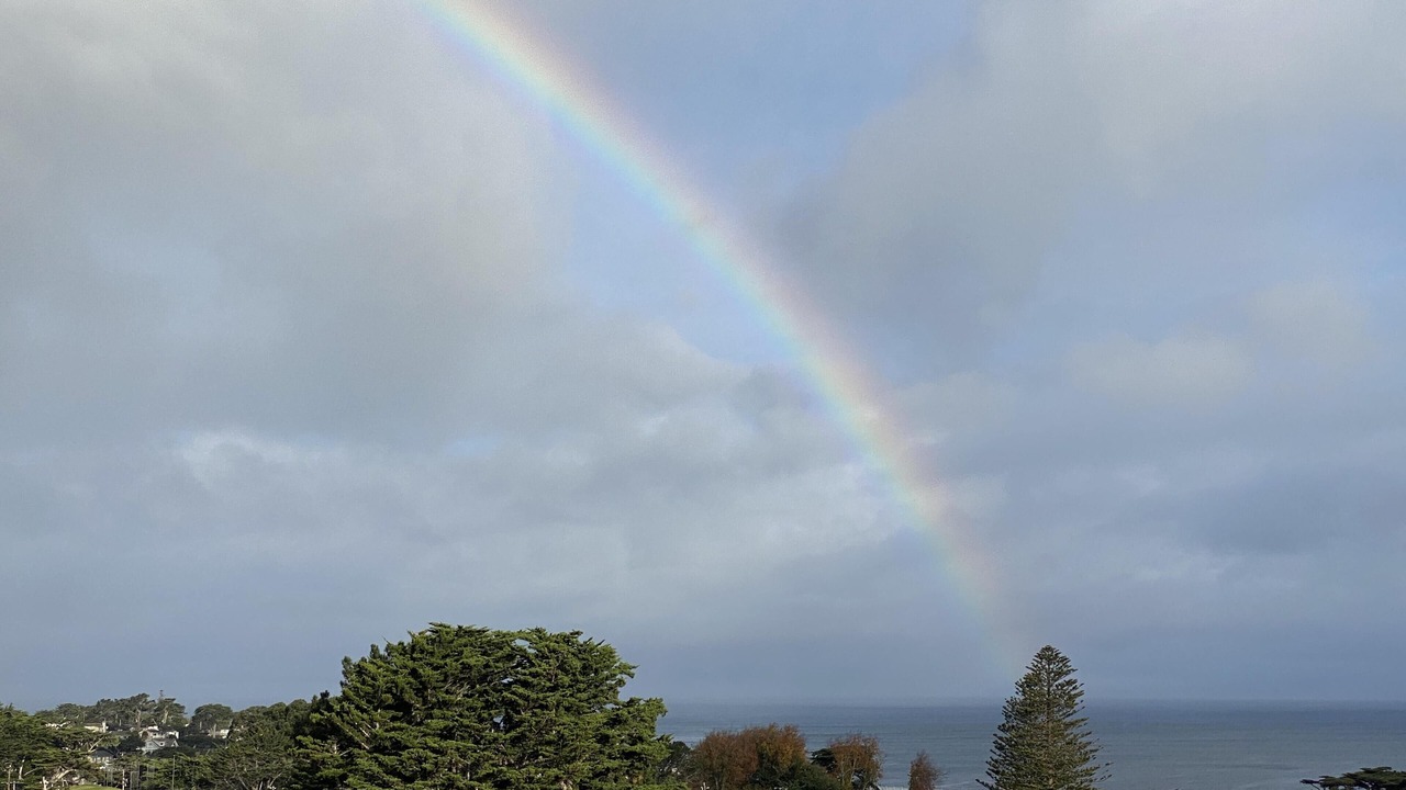 Photo of Others in Pacific Grove